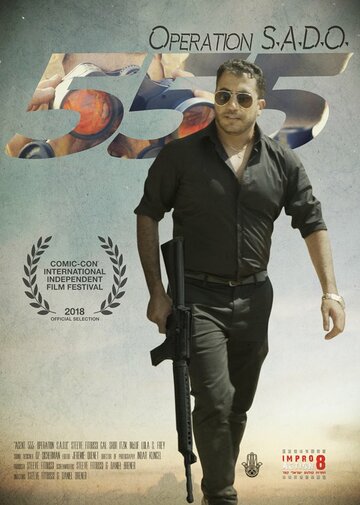  (2017)