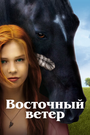 Постер: (Восточный ветер, 2013 - вся информация о фильме на FilmNavi.ru