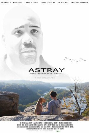 Постер: (Astray, 2014 - вся информация о фильме на FilmNavi.ru
