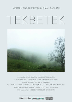 Постер: (Tekbetek, 2014 - вся информация о фильме на FilmNavi.ru