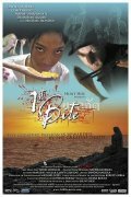  (2006)