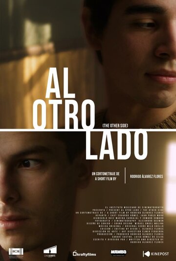  (2017)