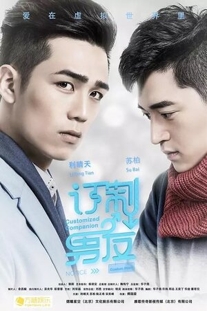 Постер: (Индивидуальный компаньон, 2017 - вся информация о фильме на FilmNavi.ru