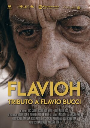 Постер: (Flavioh - Tributo a Flavio Bucci, 2018 - вся информация о фильме на FilmNavi.ru