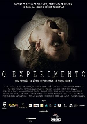 Постер: (O Experimento, 2016 - вся информация о фильме на FilmNavi.ru