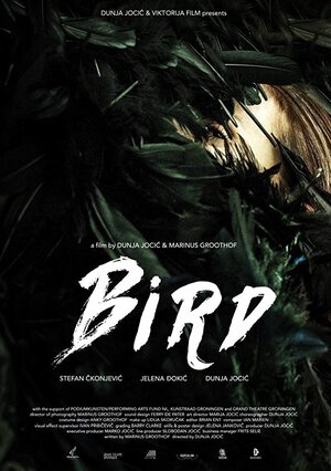 Постер: (Bird, 2015 - вся информация о фильме на FilmNavi.ru