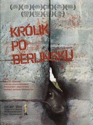 Постер: (Кролик по-берлински, 2009 - вся информация о фильме на FilmNavi.ru