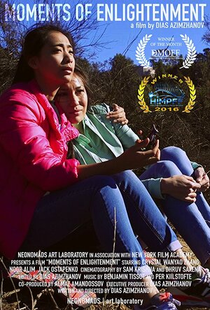 Постер: (Moments of Enlightenment, 2016 - вся информация о фильме на FilmNavi.ru
