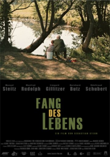  (2004)