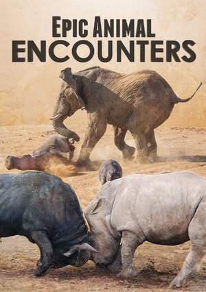 Постер: (Epic Animal Encounters, 2019 - вся информация о сериале на FilmNavi.ru