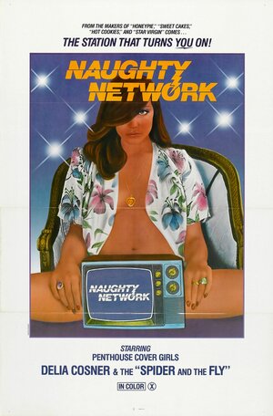 Постер: (Naughty Network, 1981 - вся информация о фильме на FilmNavi.ru