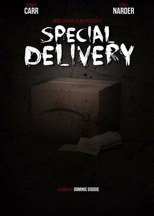 Постер: (Special Delivery, 2016 - вся информация о фильме на FilmNavi.ru