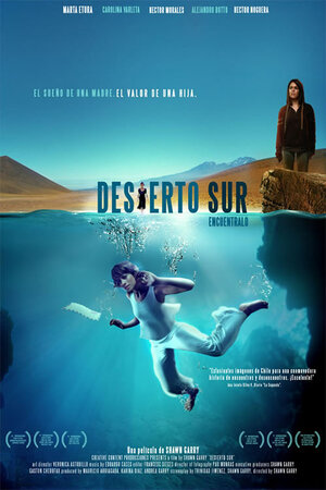 Постер: (Южная пустыня, 2008 - вся информация о фильме на FilmNavi.ru