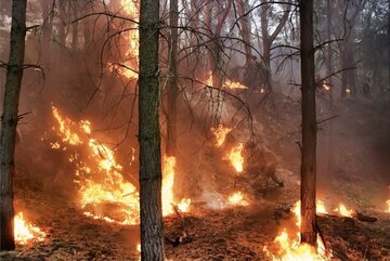 Кадр 4 — Дело было на Кубани