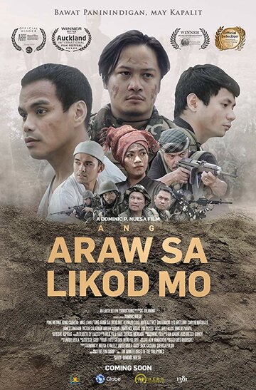  (2017)