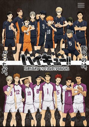 Постер: (Волейбол!!, 2014 - вся информация о мультсериале на FilmNavi.ru