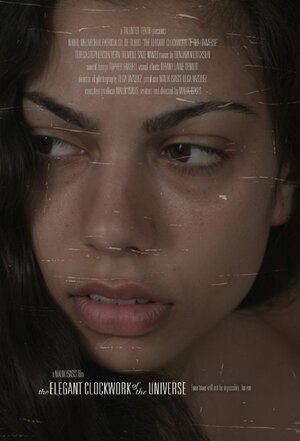 Постер: (The Elegant Clockwork of the Universe, 2013 - вся информация о фильме на FilmNavi.ru