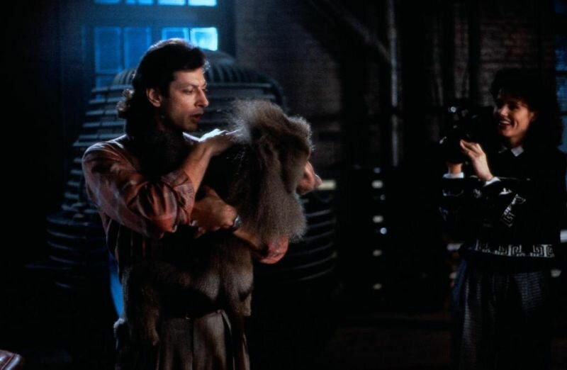 Фото: Муха / Кадр из фильма «Муха» (1986) #1439387