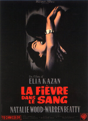 Постер: (Великолепие в траве, 1961 - вся информация о фильме на FilmNavi.ru