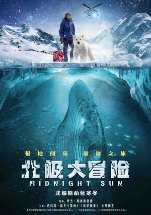 Постер: (Полуночное солнце, 2014 - вся информация о фильме на FilmNavi.ru