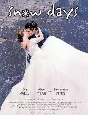 Постер: (Пусть идет снег, 1999 - вся информация о фильме на FilmNavi.ru