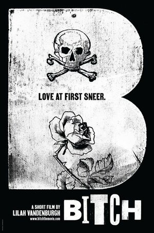 Постер: (Стерва, 2006 - вся информация о фильме на FilmNavi.ru