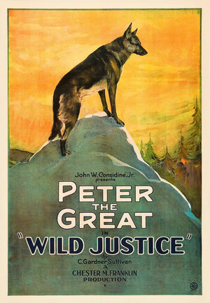 Постер: (Wild Justice, 1925 - вся информация о фильме на FilmNavi.ru
