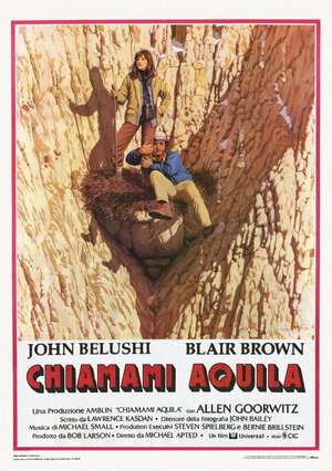 Постер: (Континентальный водораздел, 1981 - вся информация о фильме на FilmNavi.ru