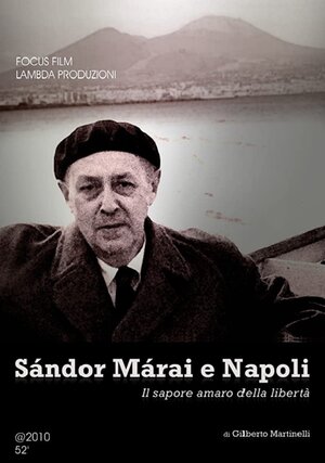 Постер: (Sándor Márai e Napoli - Il sapore amaro della libertà, 2012 - вся информация о фильме на FilmNavi.ru