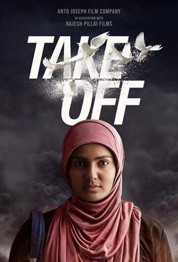  (2017)