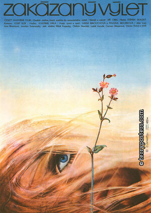 Постер: (Zakázaný výlet, 1981 - вся информация о фильме на FilmNavi.ru