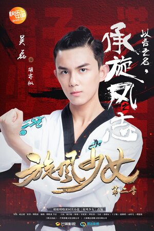 Постер: (Девушка-вихрь 2, 2016 - вся информация о сериале на FilmNavi.ru