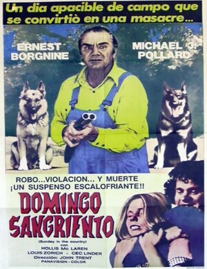 Постер: (Воскресенье за городом, 1974 - вся информация о фильме на FilmNavi.ru