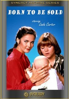  (1981)