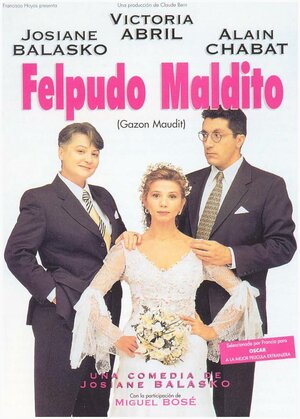 Постер: (Французский твист, 1994 - вся информация о фильме на FilmNavi.ru