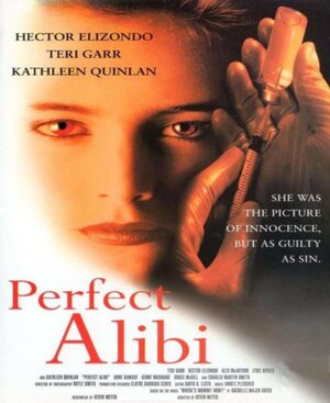 Постер: (Идеальное алиби, 1995 - вся информация о фильме на FilmNavi.ru