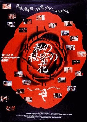 Постер: (Цветок моей тайны, 1995 - вся информация о фильме на FilmNavi.ru