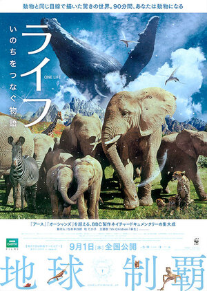 Постер: (Жизнь, 2011 - вся информация о фильме на FilmNavi.ru