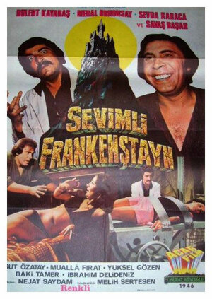 Постер: (Sevimli Frankenstayn, 1975 - вся информация о фильме на FilmNavi.ru