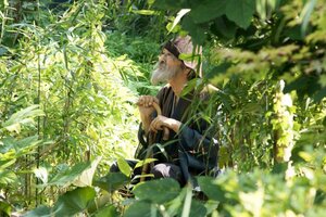 Место, где живёт Мори кадр 9 онлайн-кинотеатр Эмбликс
