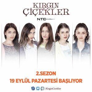 Постер: (Обиженные цветы, 2015 - вся информация о сериале на FilmNavi.ru