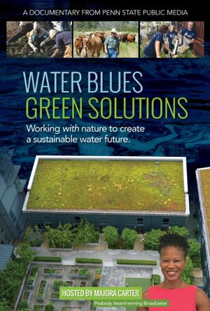 Постер: (Water Blues: Green Solutions, 2014 - вся информация о фильме на FilmNavi.ru