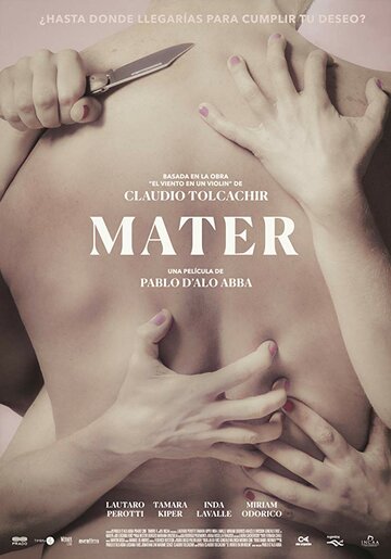  (2017)