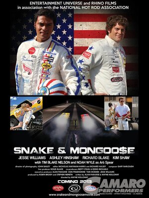 Постер: (Змея и Мангуст, 2013 - вся информация о фильме на FilmNavi.ru