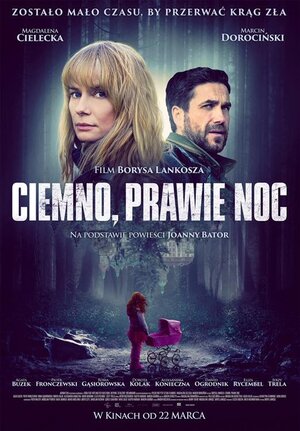 Постер: (Темно, почти ночь, 2019 - вся информация о фильме на FilmNavi.ru