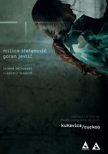  (2017)