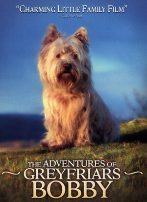 Постер: (Малыш Бобби, 2005 - вся информация о фильме на FilmNavi.ru