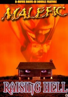  (2003)
