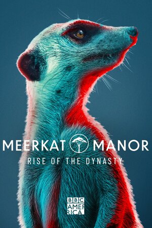 Постер: (Meerkat Manor: Rise of the Dynasty, 2021 - вся информация о сериале на FilmNavi.ru