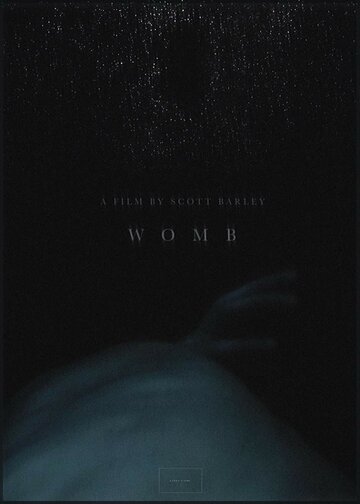  (2017)